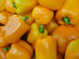 Yellow Chile Morron Peppers - Moroleon
