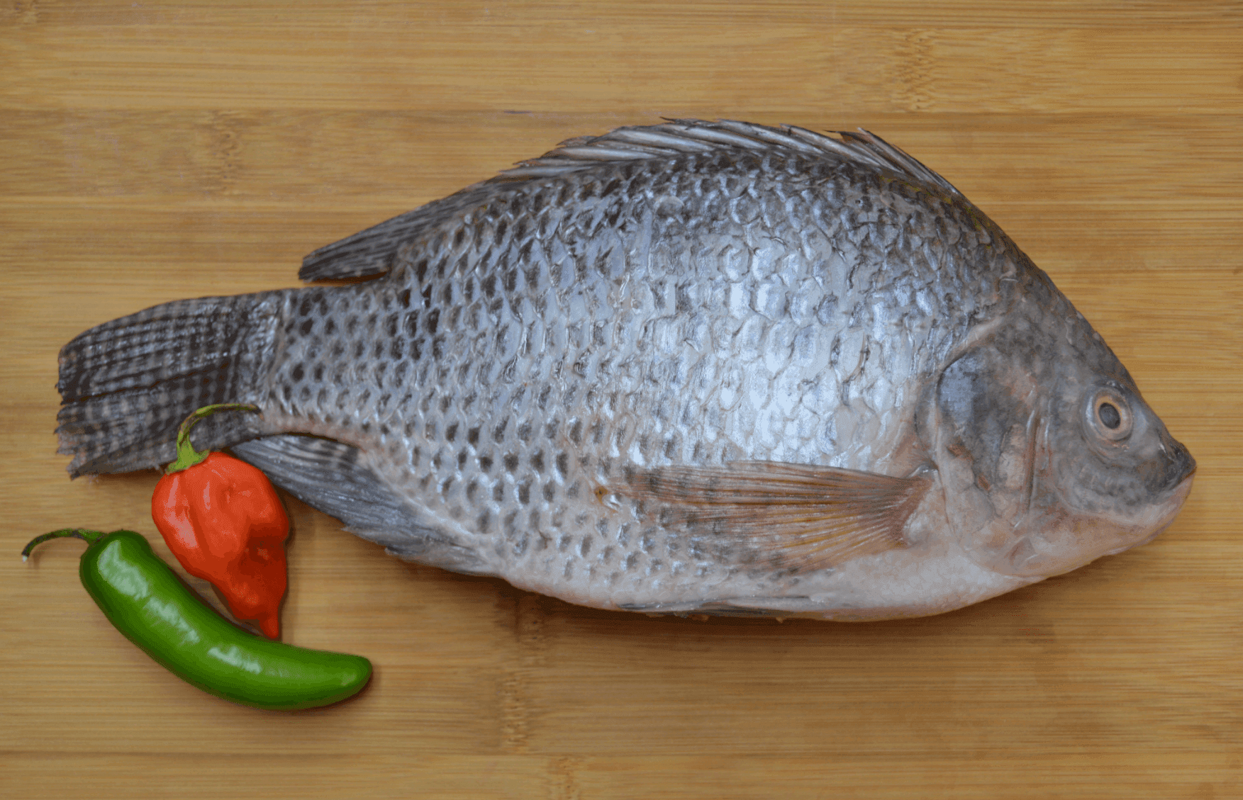 Frozen Whole Tilapia - Pescado Tilapia