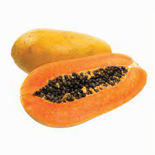 Papaya - Moroleon