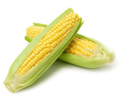 Whole Yellow Sweet Corn - Elote Moroleon
