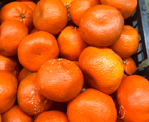 Mandarin - Moroleon