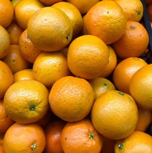Naranja - Moroleon