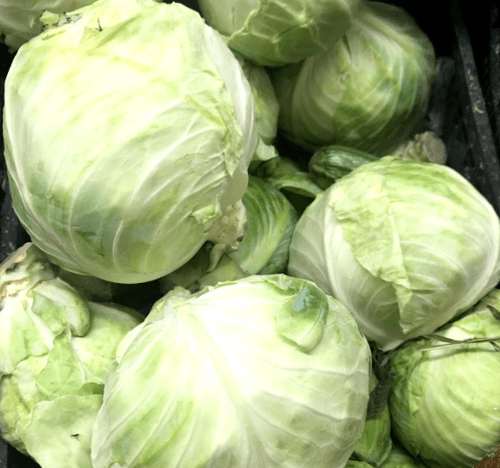 Cabbage - Moroleon