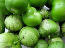 Green Tomatillo - Moroleon